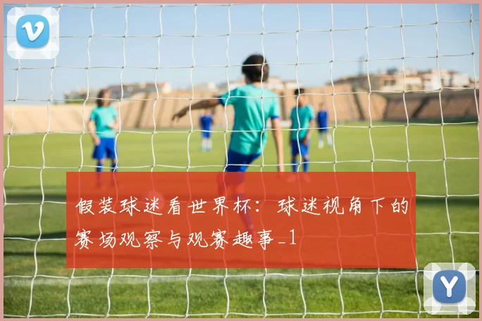 假装球迷看世界杯：球迷视角下的赛场观察与观赛趣事_1