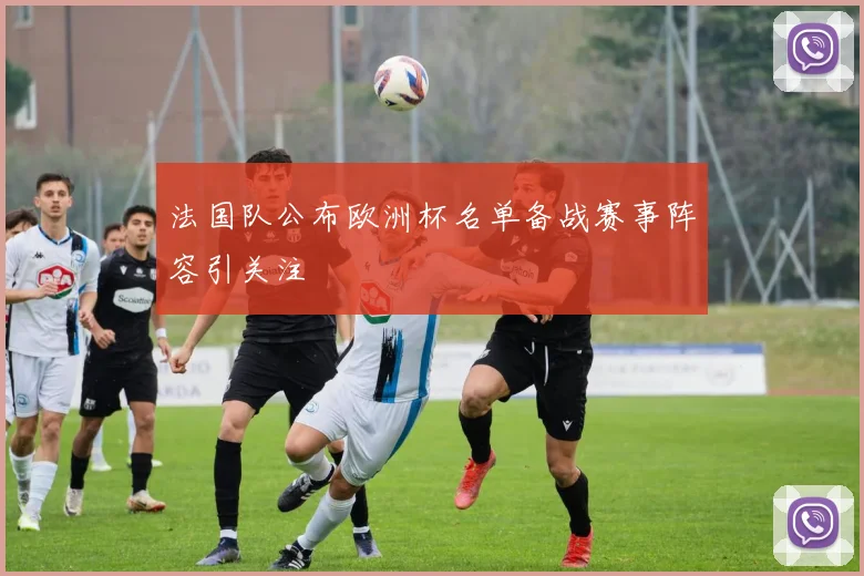 法国队公布欧洲杯名单备战赛事阵容引关注