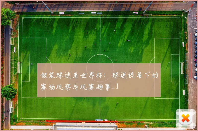 假装球迷看世界杯:球迷视角下的赛场观察与观赛趣事_1