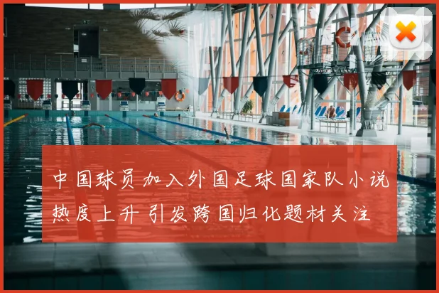 中国球员加入外国足球国家队小说热度上升 引发跨国归化题材关注